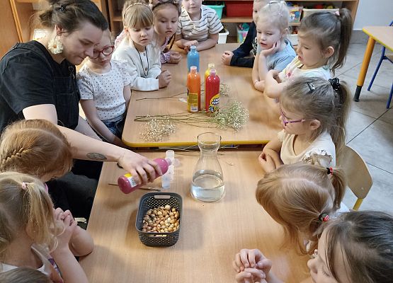 Prace w kącikach przyrody grafika