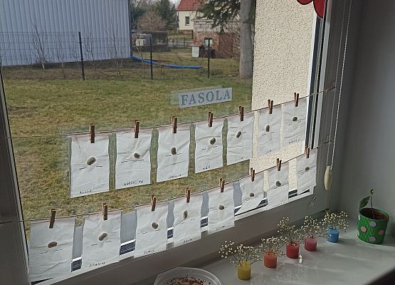 Prace w kącikach przyrody grafika