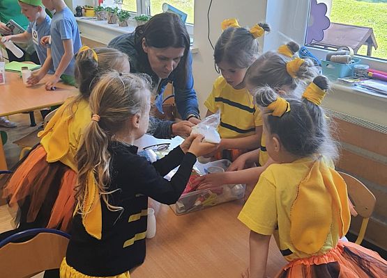 Konkurs ekologiczny grafika