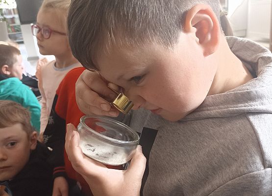 Legendy o Słowińskim Parku Narodowym grafika