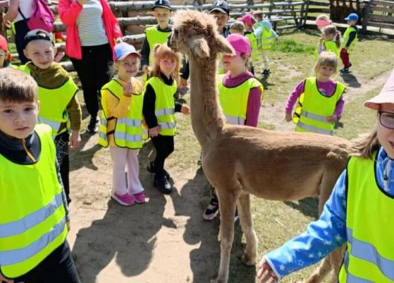 Wycieczka na Farmę Alexa grafika