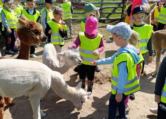 Wycieczka na Farmę Alexa grafika