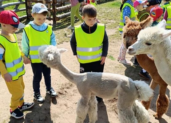 Wycieczka na Farmę Alexa grafika