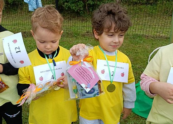 Dzień Przedszkolaka "Bieg po zdrowie" grafika