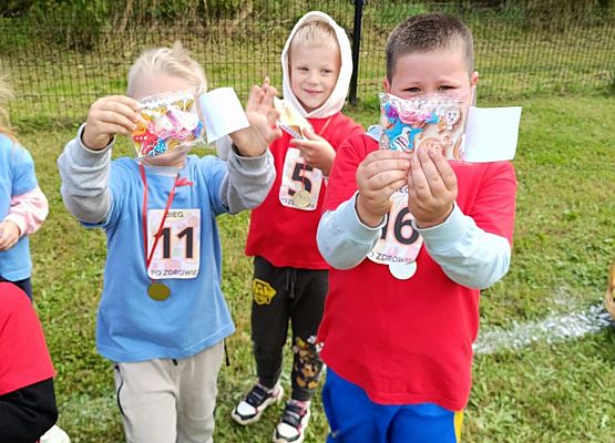 Dzień Przedszkolaka "Bieg po zdrowie" grafika