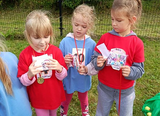 Dzień Przedszkolaka "Bieg po zdrowie" grafika