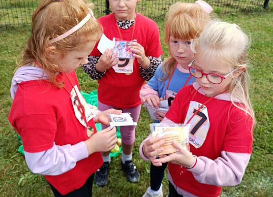 Dzień Przedszkolaka "Bieg po zdrowie" grafika