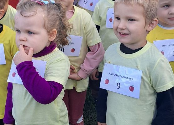 Dzień Przedszkolaka "Bieg po zdrowie" grafika