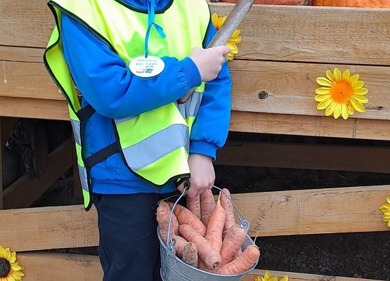 Dzień Chłopaka grafika