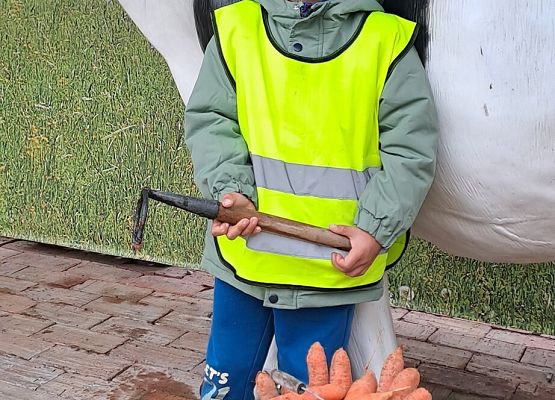 Dzień Chłopaka grafika