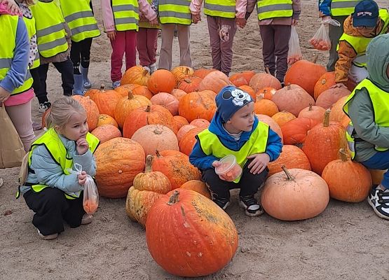 Dzień Chłopaka grafika