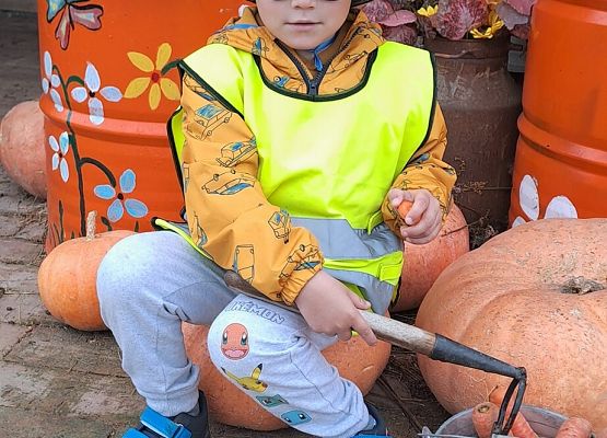 Dzień Chłopaka grafika