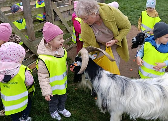 Dzień Chłopaka grafika