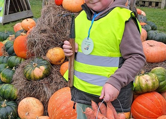 Dzień Chłopaka grafika