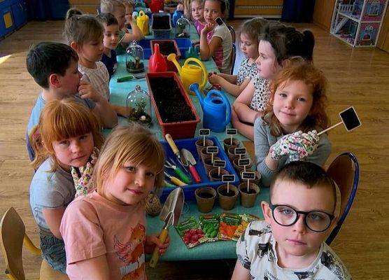 Misja sadzenie - Kubusiowi Przyjaciele Natury grafika