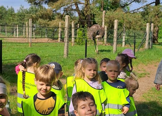 Wycieczka na Farmę Strusi grafika