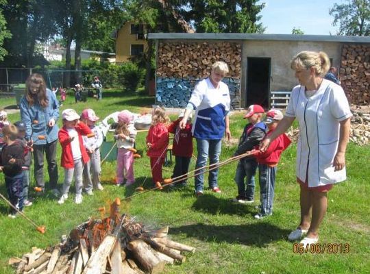 Grafika #0: Ognisko 2013-06-05