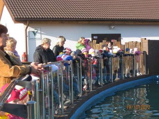 Grafika #1: Wycieczka do SEAPARKU w Sarbsku 2012-10-19