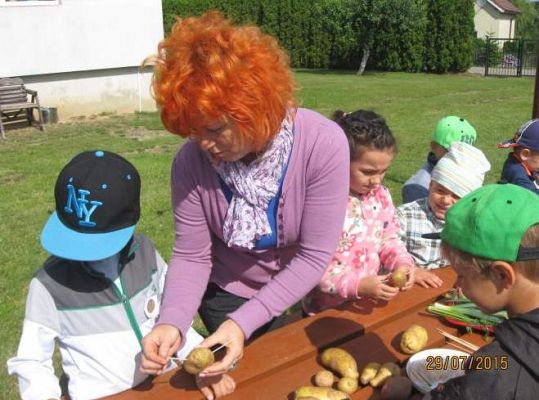 Grafika #8: Zajęcia w punkcie przedszkolnym Ewa-29.07.2015