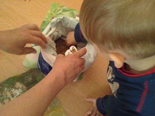 Grafika #12: Bursztynowe zajęcia - Grupa maluszków