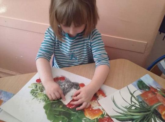 Grafika #16: Bursztynowe zajęcia - Grupa maluszków