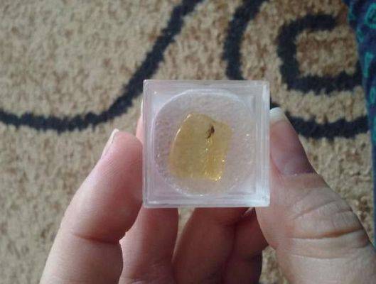 Grafika #2: Bursztynowe zajęcia - Grupa maluszków