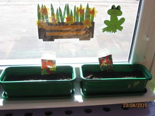 Grafika #14: Mali ogrodnicy 