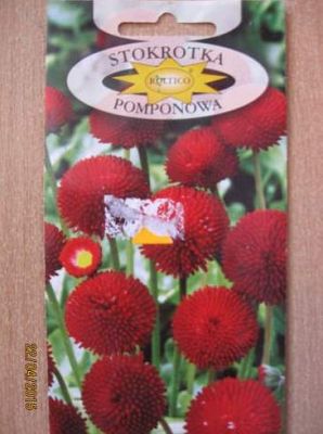 Grafika #1: Mali ogrodnicy 