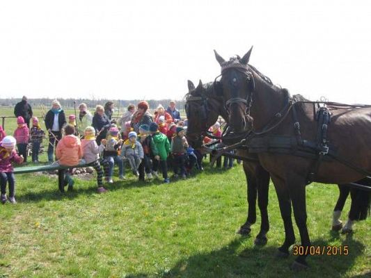 Grafika #15: Nowęcin - wspólne ognisko i powrót do domu 