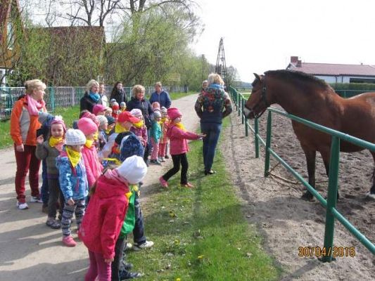 Grafika #2: Nowęcin - wspólne ognisko i powrót do domu 