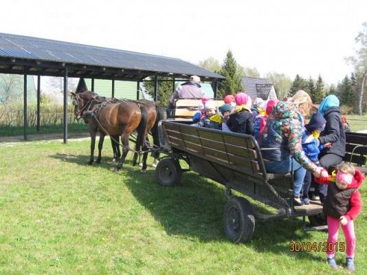 Grafika #14: Wycieczka do Nowęcina (Grupa II)