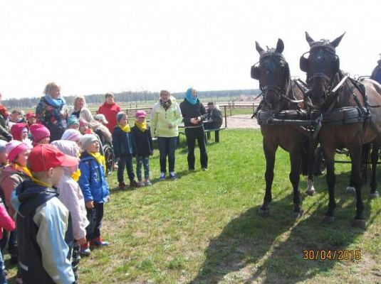 Grafika #15: Wycieczka do Nowęcina (Grupa II)