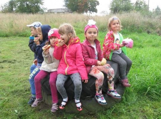 Grafika #19: Jesienne ognisko