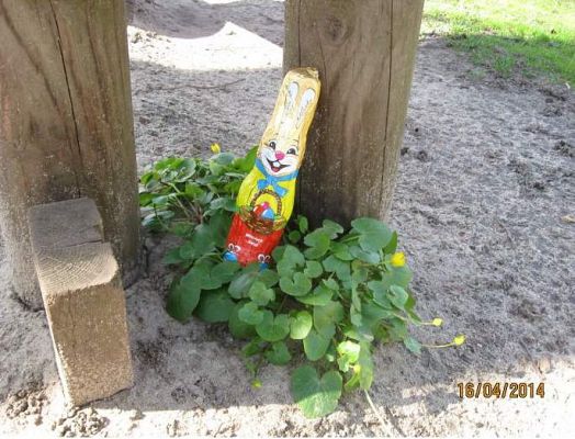 Grafika #0: Niespodzianka od zajączka 2014.04.16