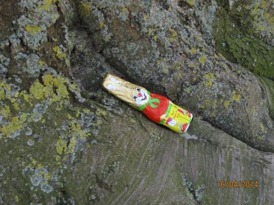 Grafika #1: Niespodzianka od zajączka 2014.04.16