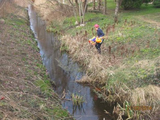 Grafika #6: Pierwszy Dzień Wiosny 2014.03.21