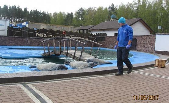 Grafika #16: Wycieczka do Sea Park