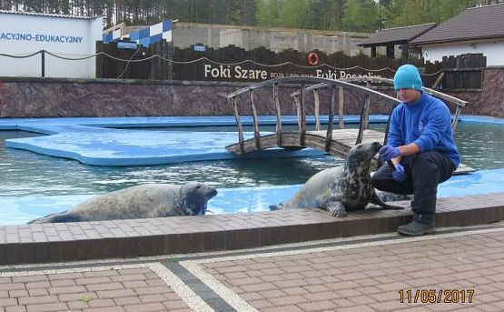 Grafika #17: Wycieczka do Sea Park