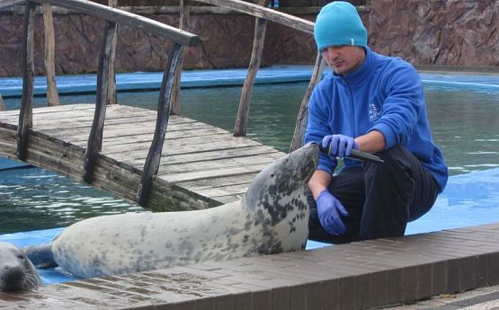 Grafika #19: Wycieczka do Sea Park