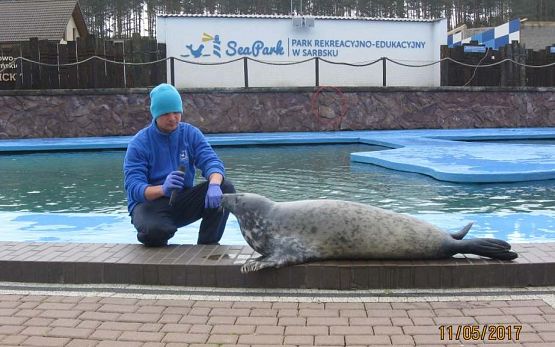 Grafika #20: Wycieczka do Sea Park
