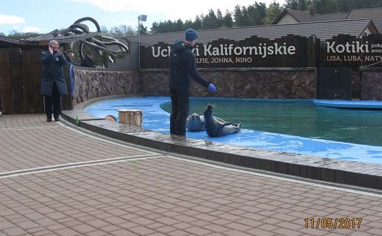 Grafika #21: Wycieczka do Sea Park