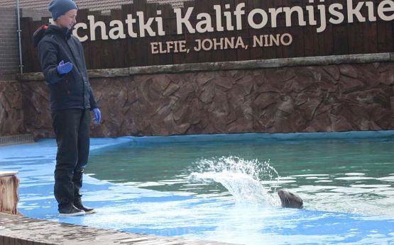 Grafika #22: Wycieczka do Sea Park