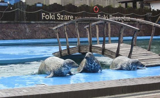 Grafika #23: Wycieczka do Sea Park