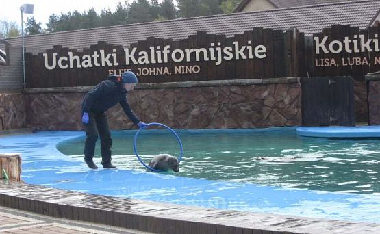 Grafika #25: Wycieczka do Sea Park