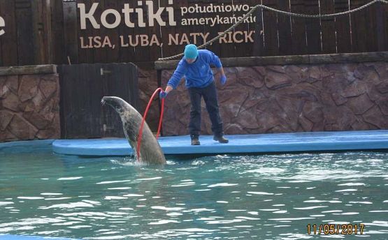 Grafika #26: Wycieczka do Sea Park