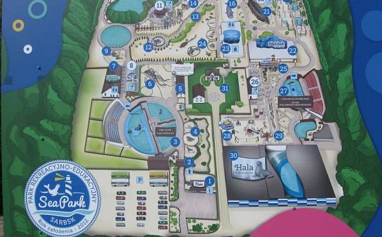Grafika #2: Wycieczka do Sea Park