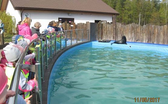 Grafika #3: Wycieczka do Sea Park