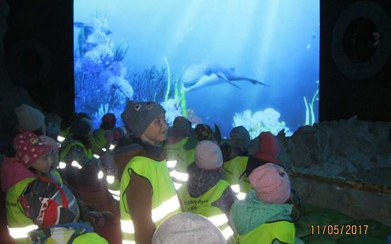 Grafika #44: Wycieczka do Sea Park