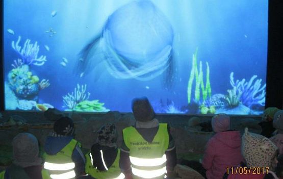 Grafika #45: Wycieczka do Sea Park