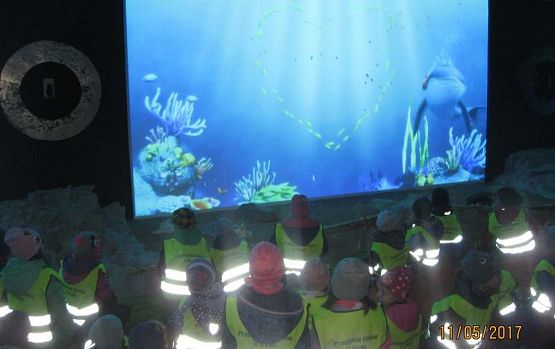 Grafika #46: Wycieczka do Sea Park